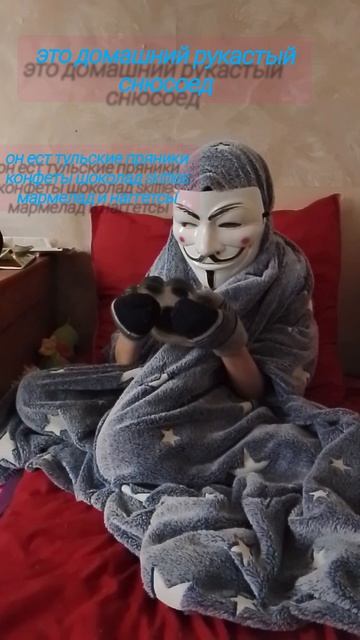 это домашний рукастый снюсоед