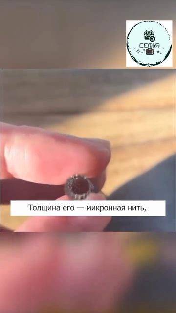 САМАЯ ДОРОГАЯ ПРУЖИНКА КОТОРАЯ СПАСАЕТ ЖИЗНЬ ЧЕЛОВЕКА