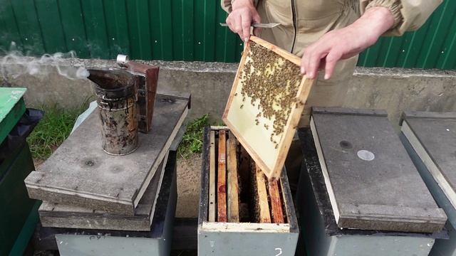 Результат подсиливания отводков.