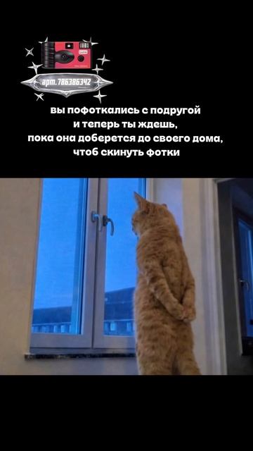 Плёночный фотоаппарат на 36 кадров (Артикул WB: #WW360391)💕