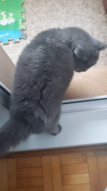 Если бы не я,цветок бы не увидела! Вот!