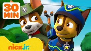 Щенячий патруль . Дружеские приключения с Чейзом и Трекером