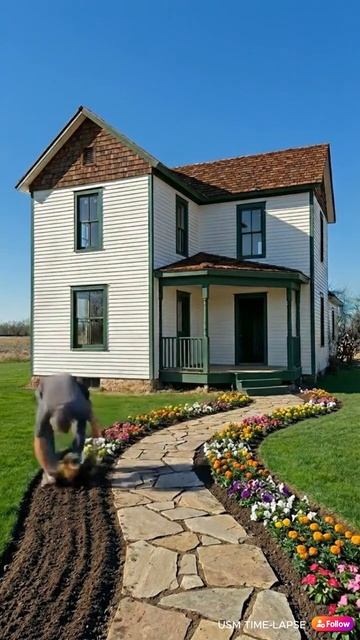 Нейросеть видео