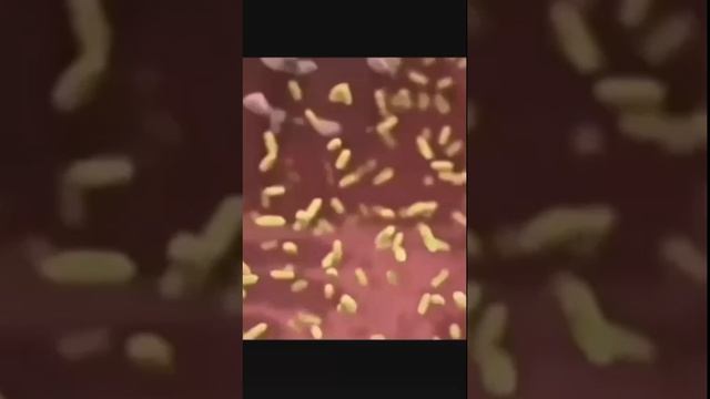 Голод открывает каналы духовного восприятия