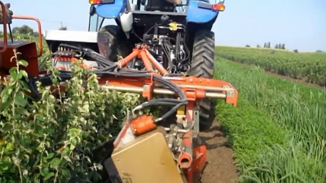 ПИТОМНИК ОЛИВЕР Окучник саженцев ТРАНСПЛАНТЕР