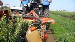 ПИТОМНИК ОЛИВЕР Окучник саженцев ТРАНСПЛАНТЕР