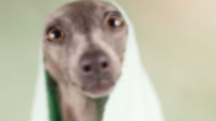 дб жесткое просто капец