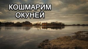 Кошмарим окуней. Как поймать щуку с руку. Рыбалка на Волг. Советские блесна