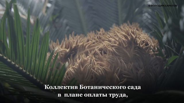 Володин: найдено решение по ПРОДОЛЖЕНИЮ реконструкции Ботанического сада