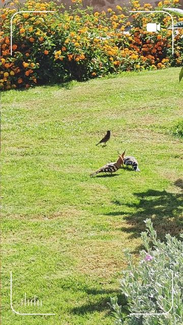 Египет апрель 2026