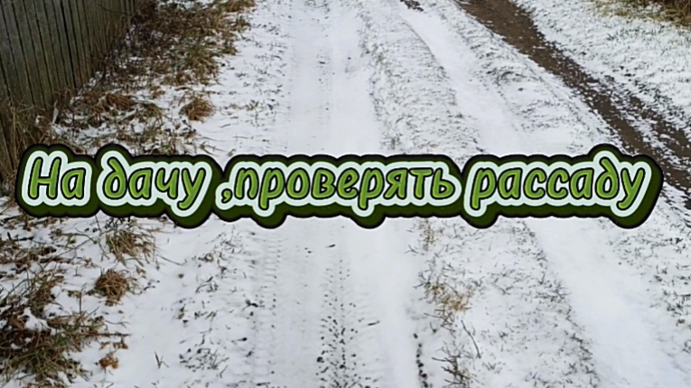 21.04.26 Опять зима.Ещё одна морозная ночь томатов в теплице