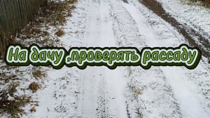 21.04.26 Опять зима.Ещё одна морозная ночь томатов в теплице