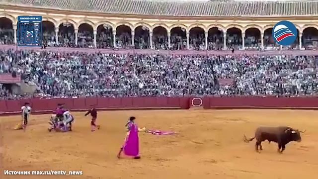 Жуткое нападение: тореадор получил 10-сантиметровое ранение в ягодицу