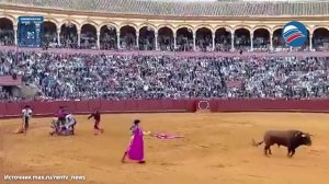 Жуткое нападение: тореадор получил 10-сантиметровое ранение в ягодицу
