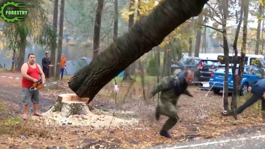 Идиоты с бензопилами, экстремальный и неудачный спил деревьев.