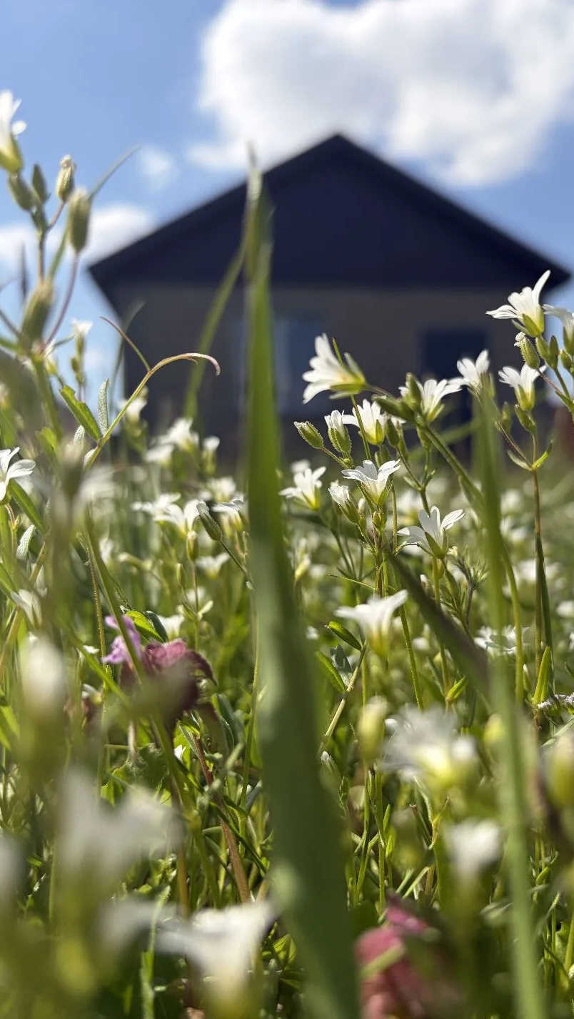 КРАСНОДАР,  ПОС. РОССИЙСКИЙ ДОМИК 44 КВ.М. НА 4 СОТКАХ ЗЕМЛИ ИЖС.