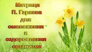 Универсальная матрица П. Гаряева для оздоровления и омоложения вашего организма