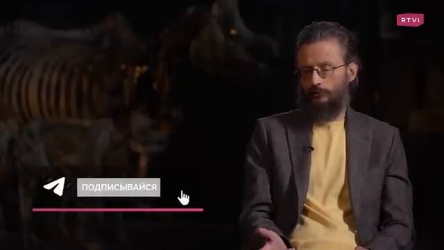 Как приматы путешествовали через океан? Дробышевский