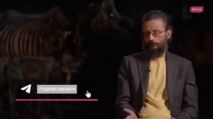 Как приматы путешествовали через океан? Дробышевский