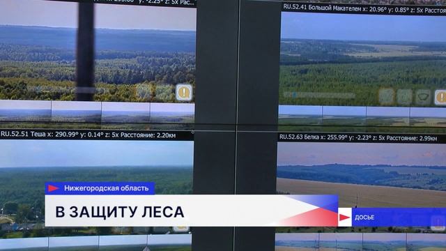 Защиту лесов от пожаров обсудили на заседании профильного комитета ЗСНО