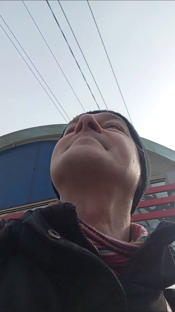 Поехал в деревню  на электричке