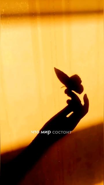 Как женщина теряет себя после родов — и возвращает #отношения #психология #материнство