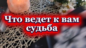 Что ведет к вам судьба🍓🔮🔆Таро