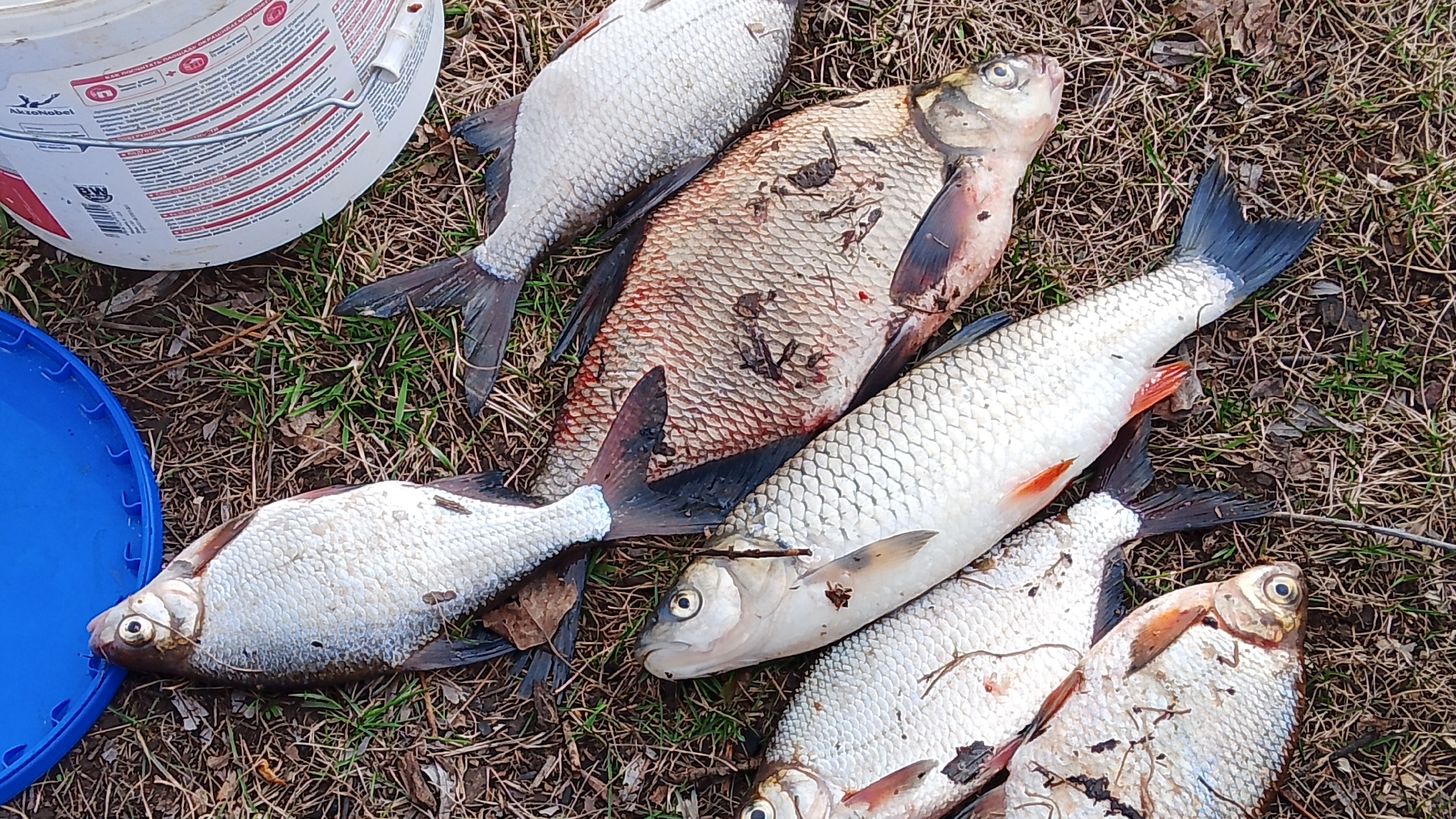 Как я на Каму съездил .