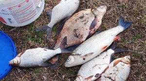 Как я на Каму съездил .