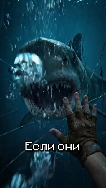 какую ты выбрал пиши в комментариях