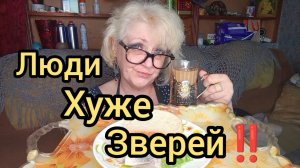 Мукбанг ЧТО Случилось с СОБАЧКАМИ‼️Ваши Речи вам На ПЛЕЧИ Мepзкие yбoгие ЛЮДИШКИ‼️