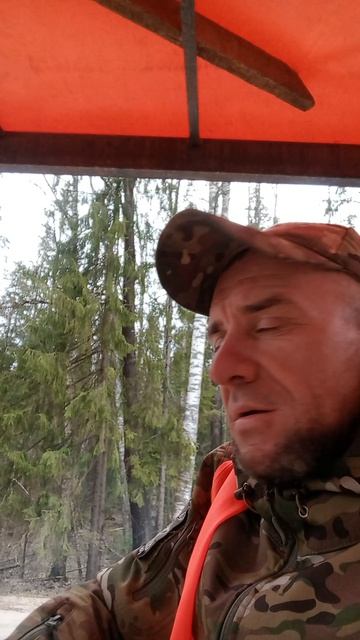 работа дорэксплутация 20.04.2026 каток