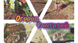 21 апреля 2026 года. Для томатов... Посев зелени... Мучения с клубникой!)))))