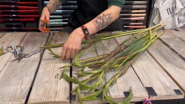 Гладиолусы