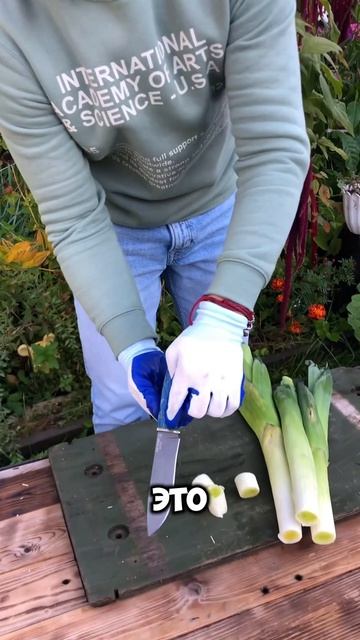 Что это за зверь