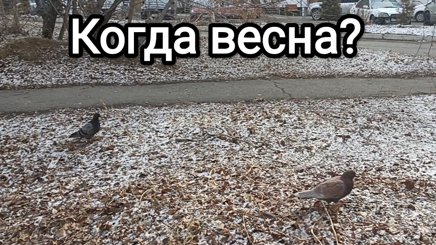21-04-2026. Когда весна?