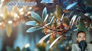 Горькая милость.