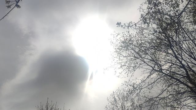 21 апреля магический ☀️ подарок от волшебника