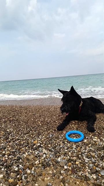 Video.Guru_20240817_172758989