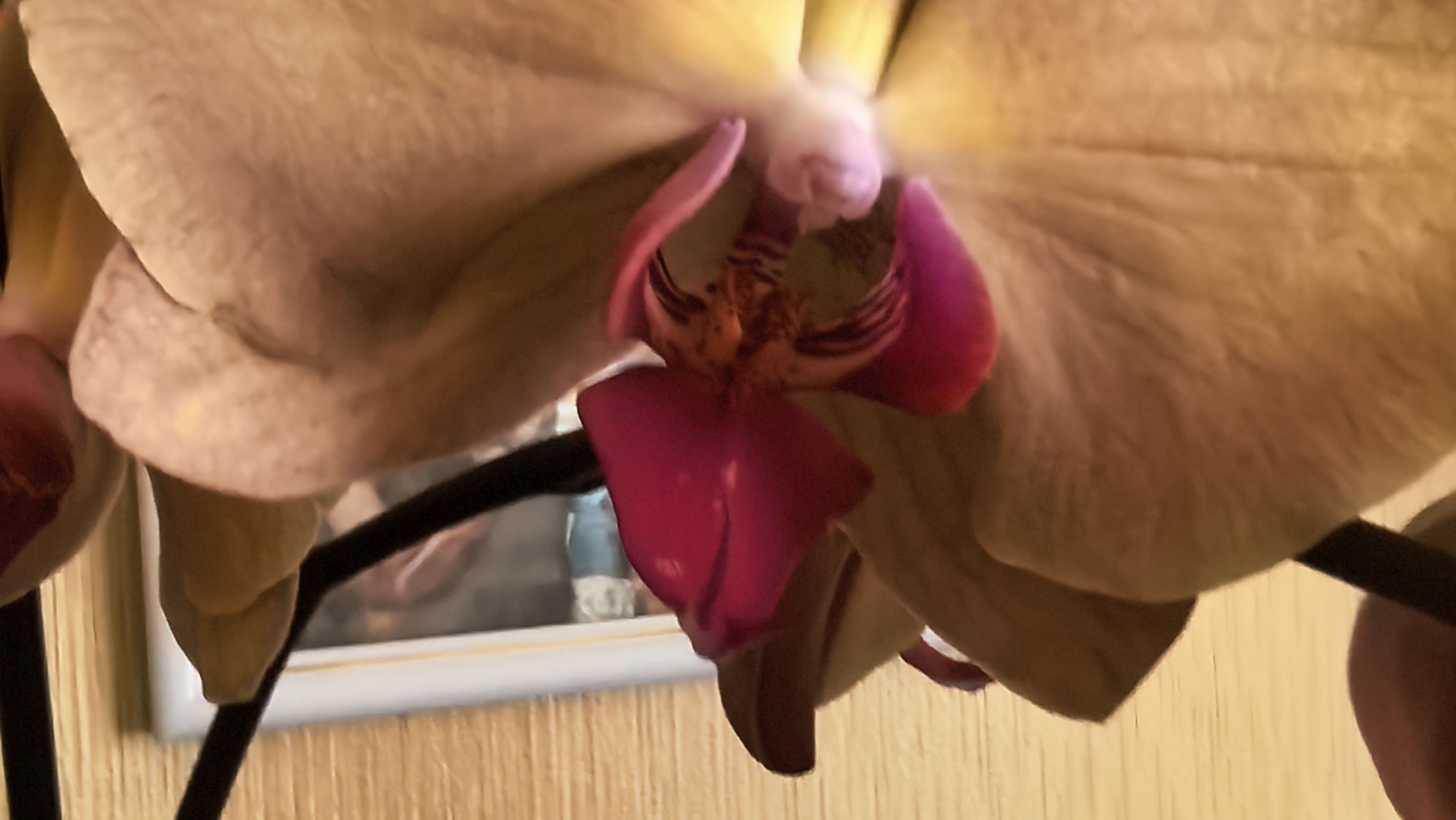 Подарок от друзей.