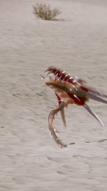 это просто фантастика Феликса