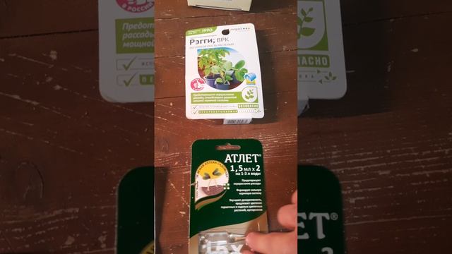 🌿 Сезон открыт: весенняя обработка!🌿