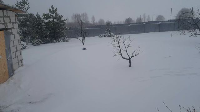 Весна - Зима.