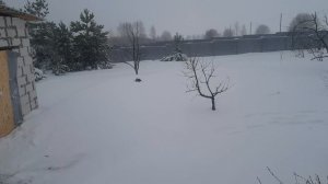 Весна - Зима.