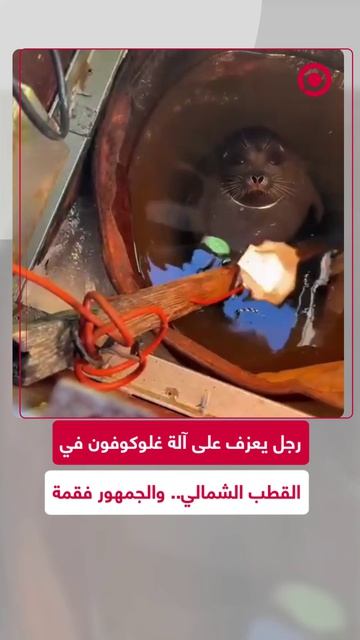 69e7252e4236045ee710caa8