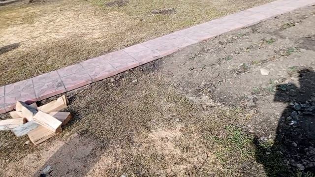 подготовка рассады