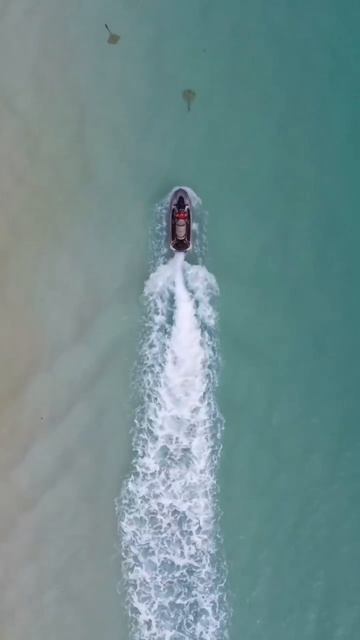 Blue Pearl Bay на острове Хейман — заповедная бухта архипелага Уитсандей, известная лучшим снорклинг