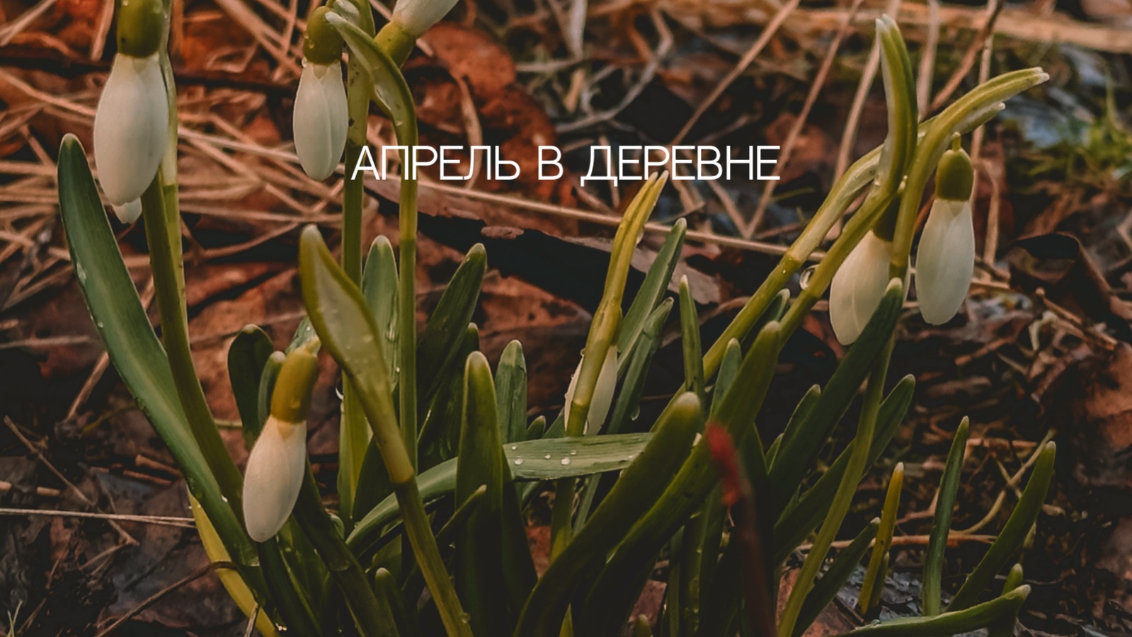 Апрель в деревне