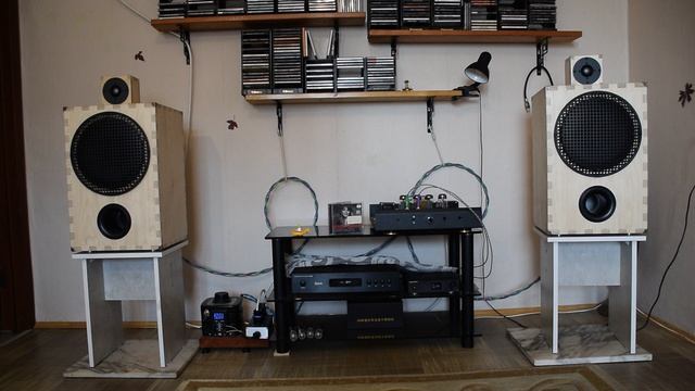 DSC_1318  Акустические системы на динамиках ноэма 100 гдш 47-8.