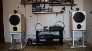 DSC_1318  Акустические системы на динамиках ноэма 100 гдш 47-8.